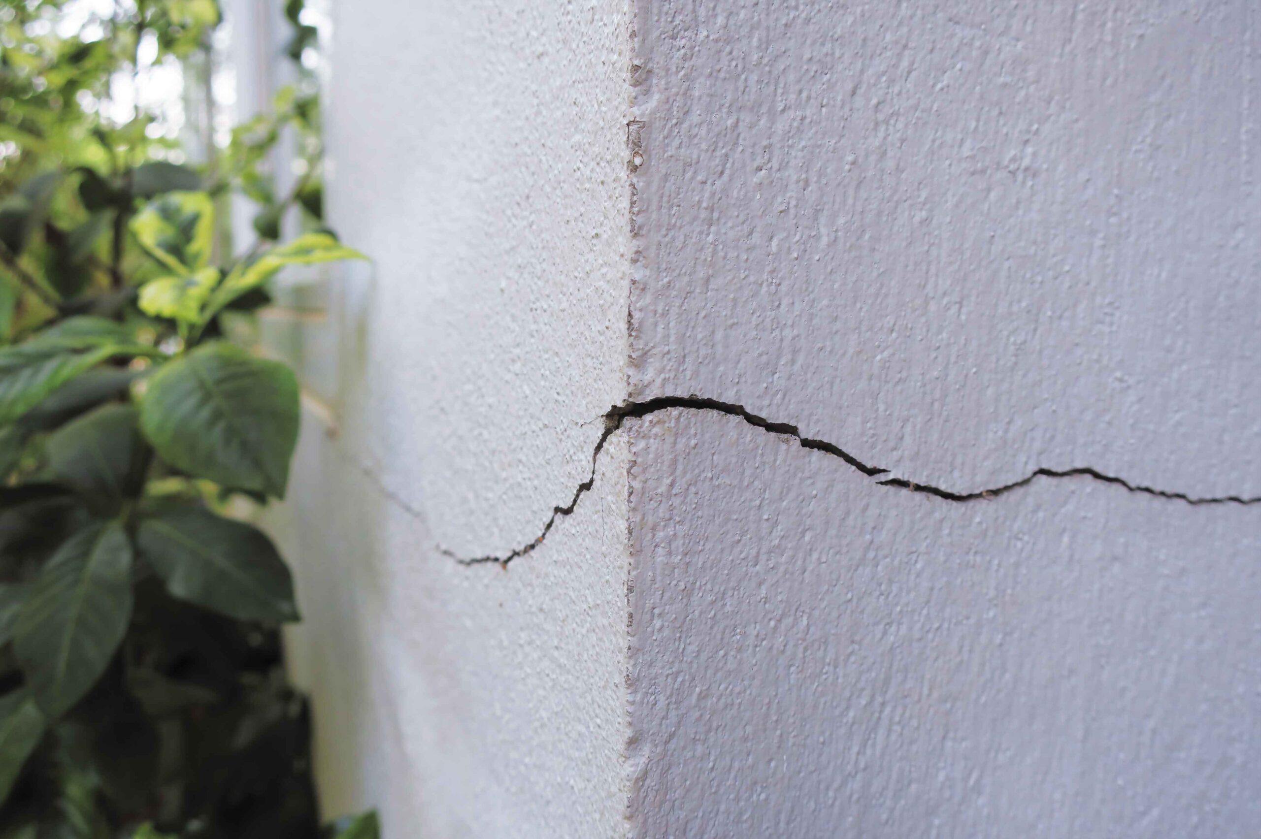 5 Common Issues Found in Building and Pest Inspections 4 Structural Damage