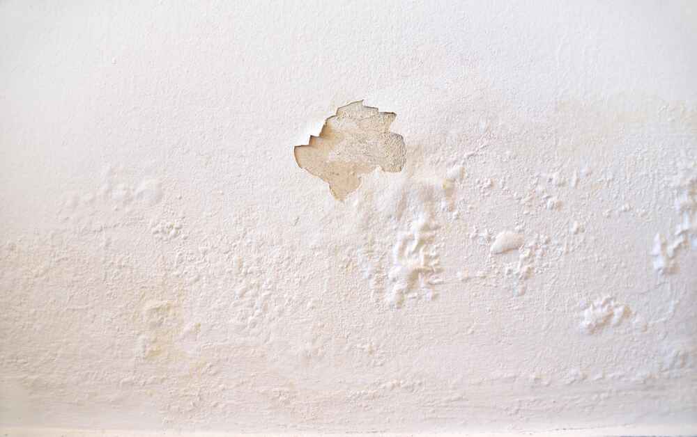 5 Common Issues Found in Building and Pest Inspections 2 Water leak