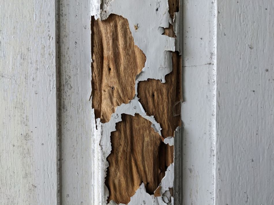 Do You Need a Building Inspection for Newly Constructed Homes? 2 Building Inspection