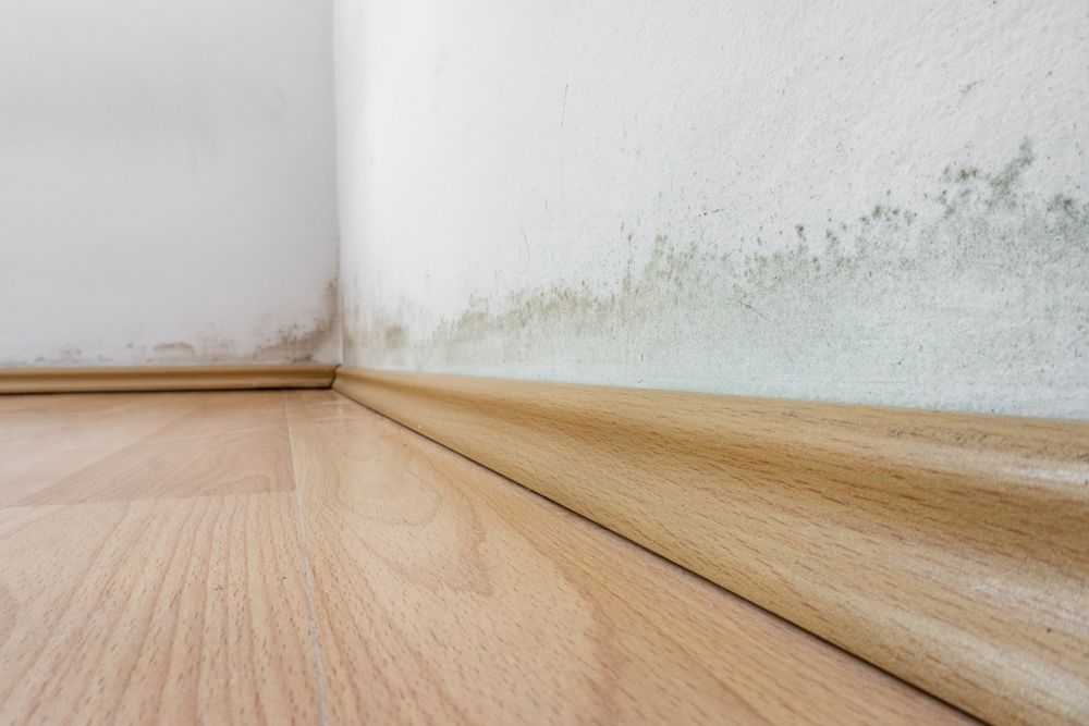 Water Leaks and Moisture Damage