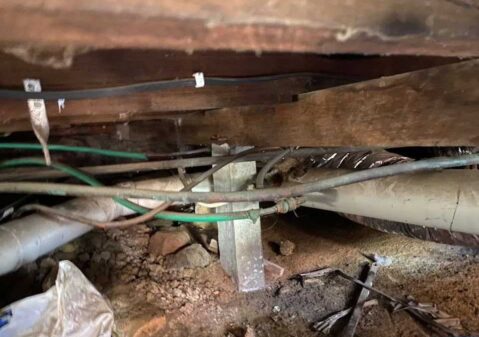 Private Building Inspection