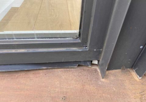 Pest Inspection