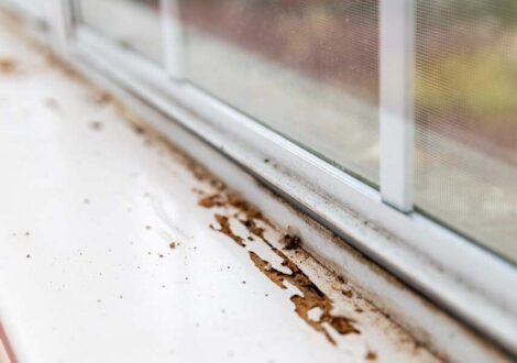 Termite,Damage,Visible,On,Window,Sill,Of,House.