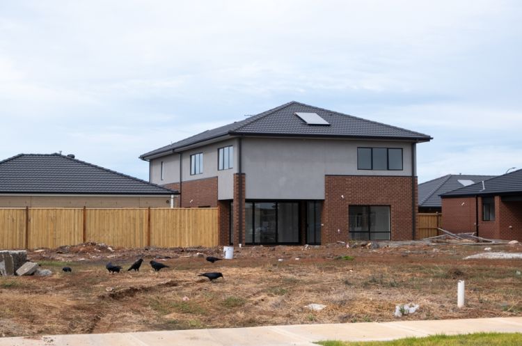 Building and Pest Inspections