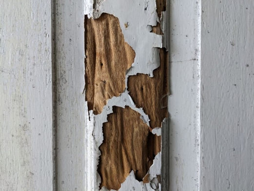 Building and Pest Inspections