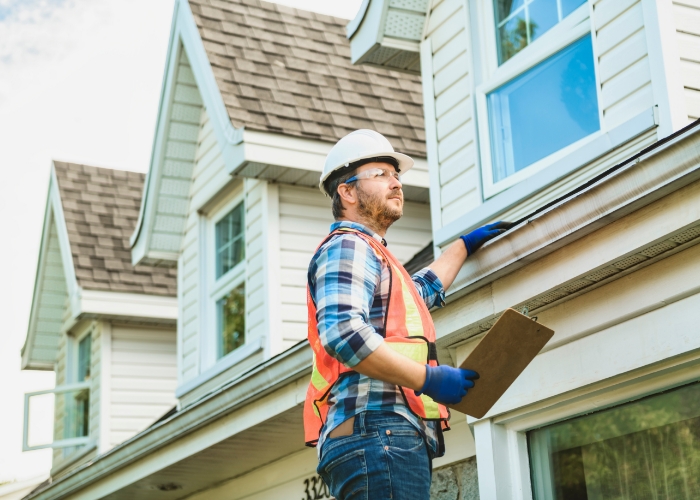 building-and-pest-inspections-3