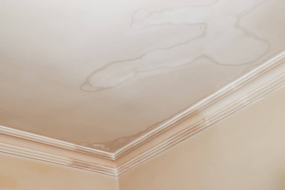 leaky roofs to termite infestations